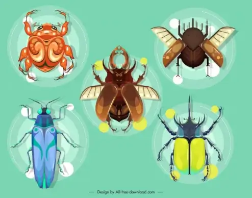 insects species icons colored modern design