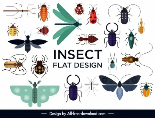 insects species icons colorful flat sketch