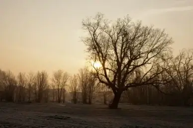 inversion landscape
