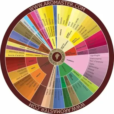 italian wine aroma wheel