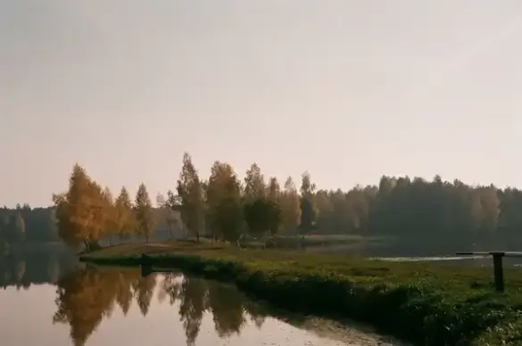 janowskie forests