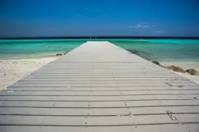 jetty