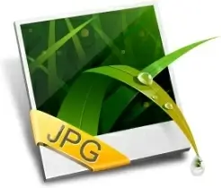JPEG Image