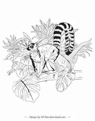 jungle design elements leaves racoon handdrawn sketch