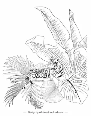 jungle design elements tiger leaves handdrawn outline