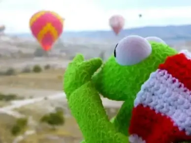 kermit frog go balloon