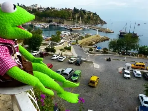 kermit frog green
