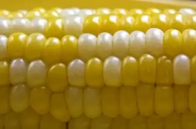 kernels