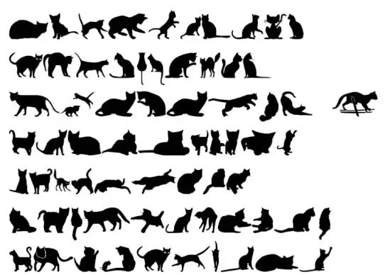 Kitty Cats TFB