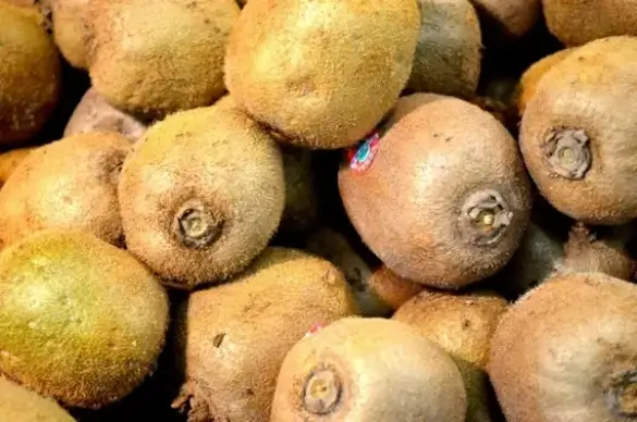 kiwi fruit