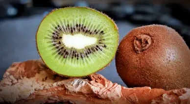 kiwi fruit picture realistic modern