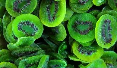 kiwi fruit slices picture elegant contrast realistic