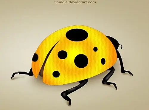 Lady Bug PSD