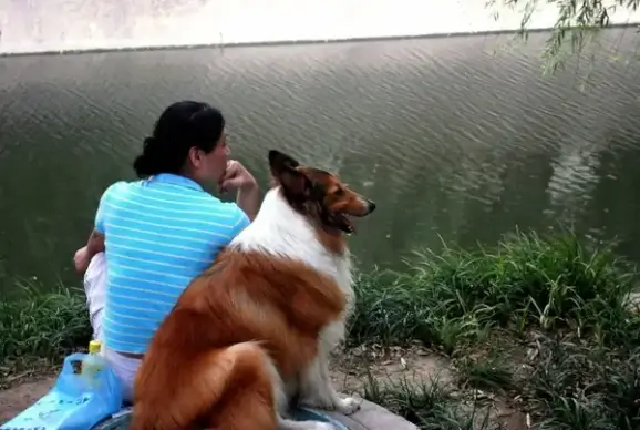 lady with dog