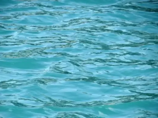 lake michigan up close
