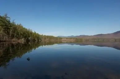 lake water trees summer mountains