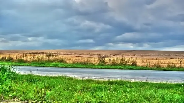 landscape