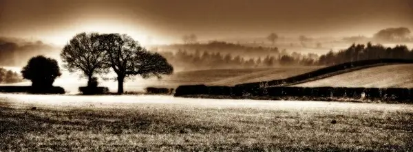 landscape