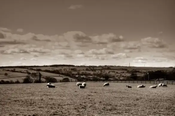 landscape
