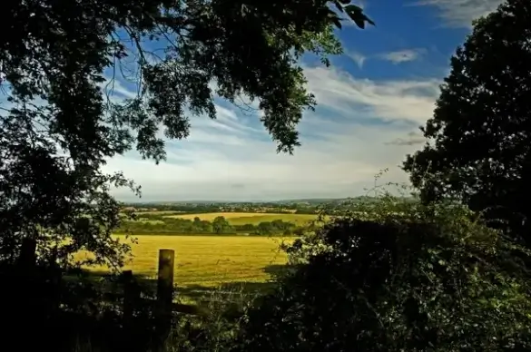 landscape