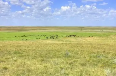 landscape at panorama point nebraska