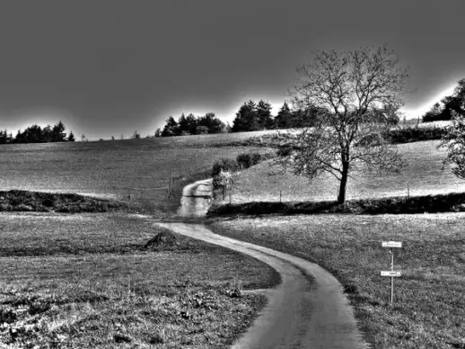 landscape black and white
