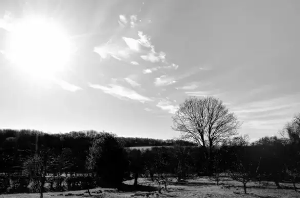 landscape black and white