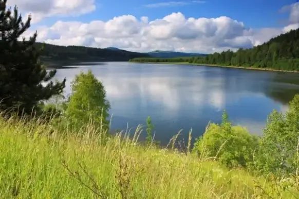 landscape with lake