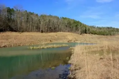 large stream at johnson039s shut ins state park