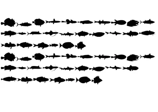 Le Fish