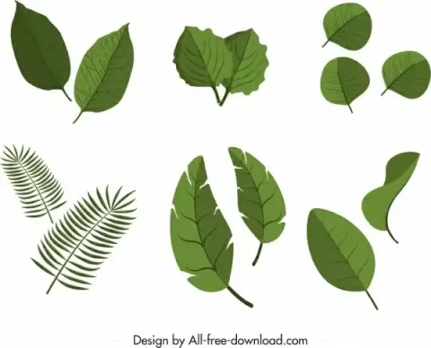 leaf icons sets green decor 3d flat design