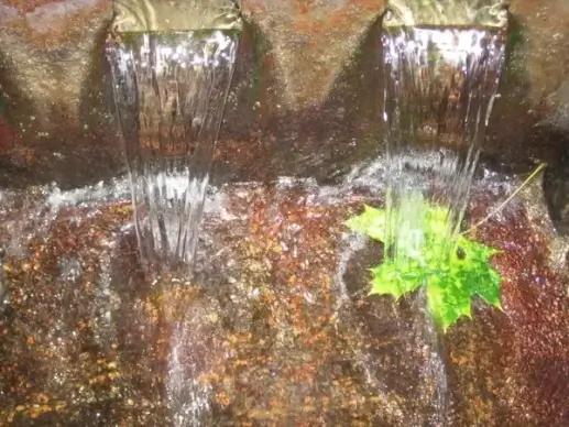 leaf in a stream
