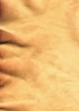 leather skin background tan