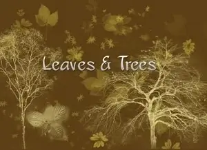 Leaves and trees