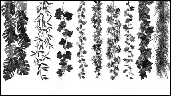 leaves brush