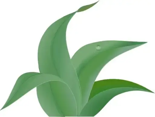 Leaves  clip art