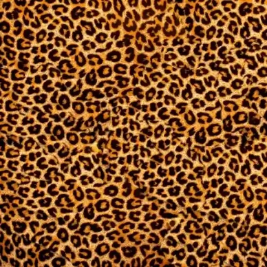 leopard flannel highdefinition picture 2