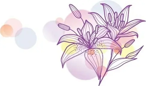 Lily Vecotr Illustration