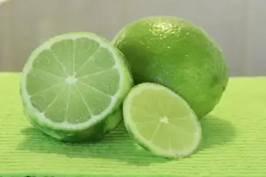lime the fruit of the citrus