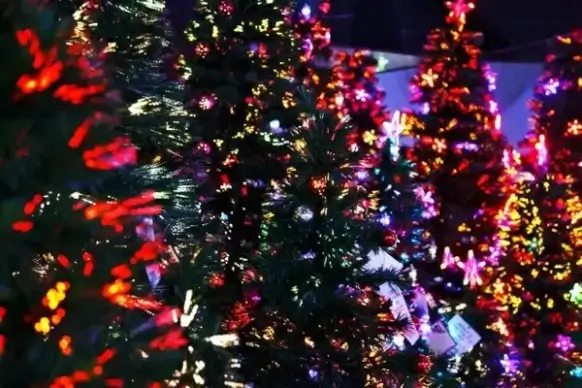 lit christmas trees
