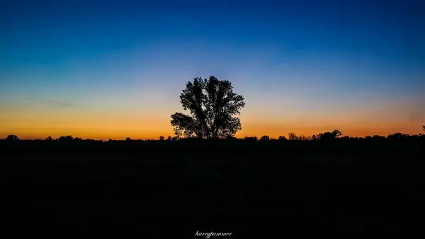 loneliness
