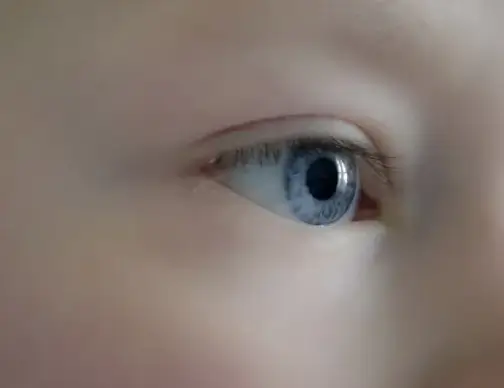 look