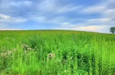 looking at the hill in madison wisconsin
