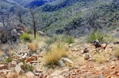 looking down the slope at big bend national park texas