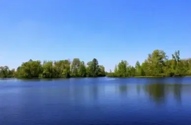 looking into the lake at governor thompson state park wisconsin