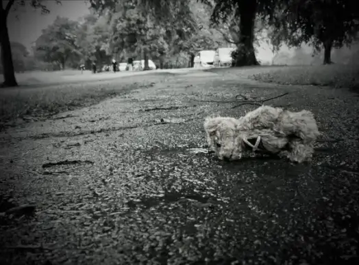 lost teddy bear