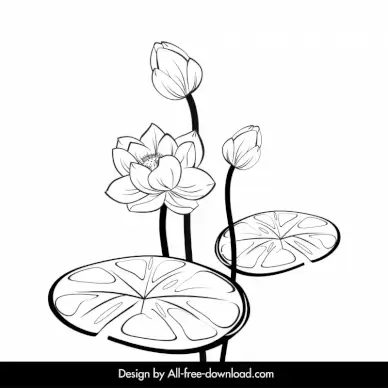 lotus backdrop classical black white handdrawn sketch