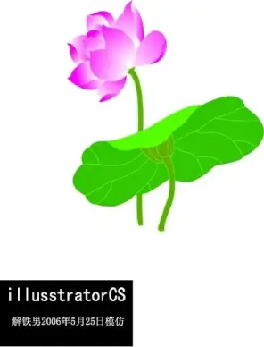 lotus cg imitate