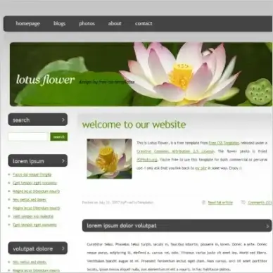 lotus flower