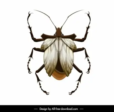 louse insect icon colored closeup modern design